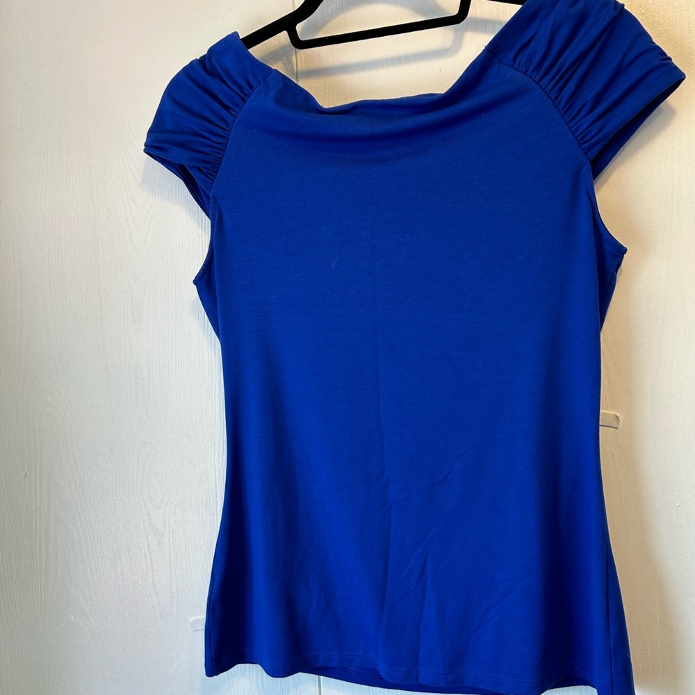Blue Ruched Sleeve Top